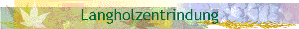 Langholzentrindung