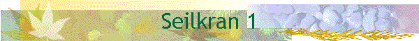 Seilkran 1
